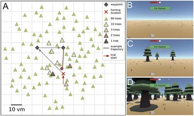 Not seeing the forest for the trees: combination of path integration and landmark cues in human virtual navigation